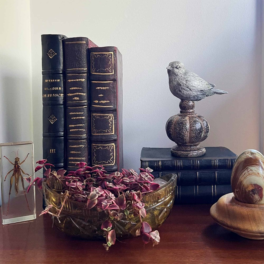 The Ultimate Shelf Styling Guide (2025 Edition)