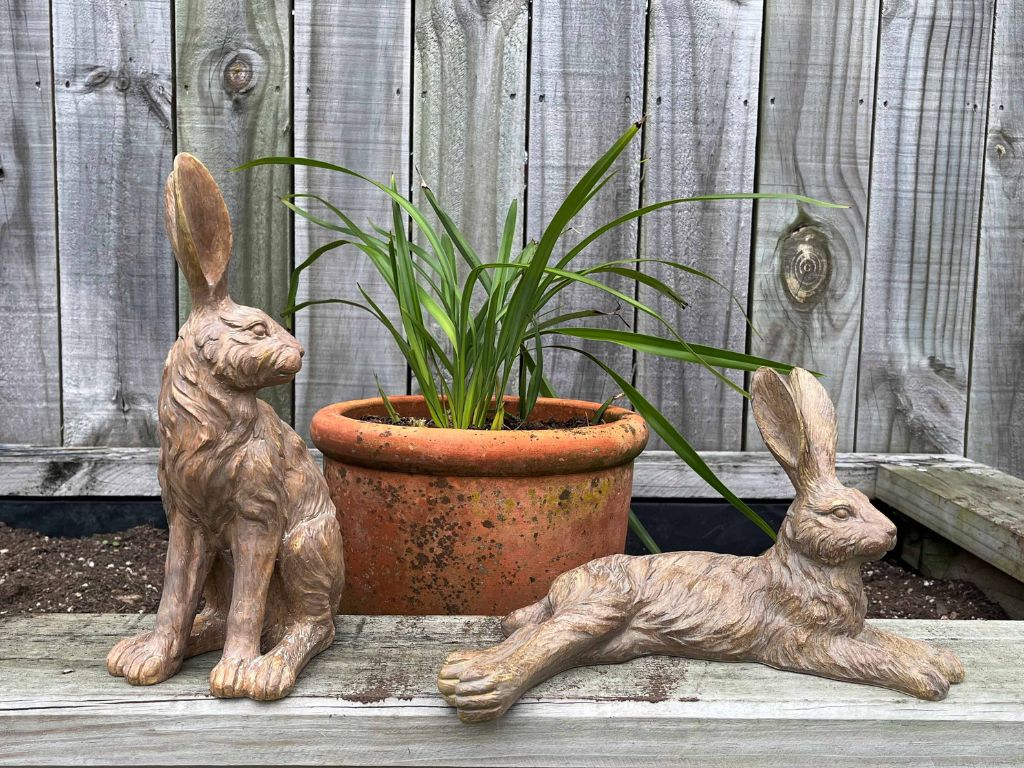 Earth Junior Hares on a garden bed with a pot plant