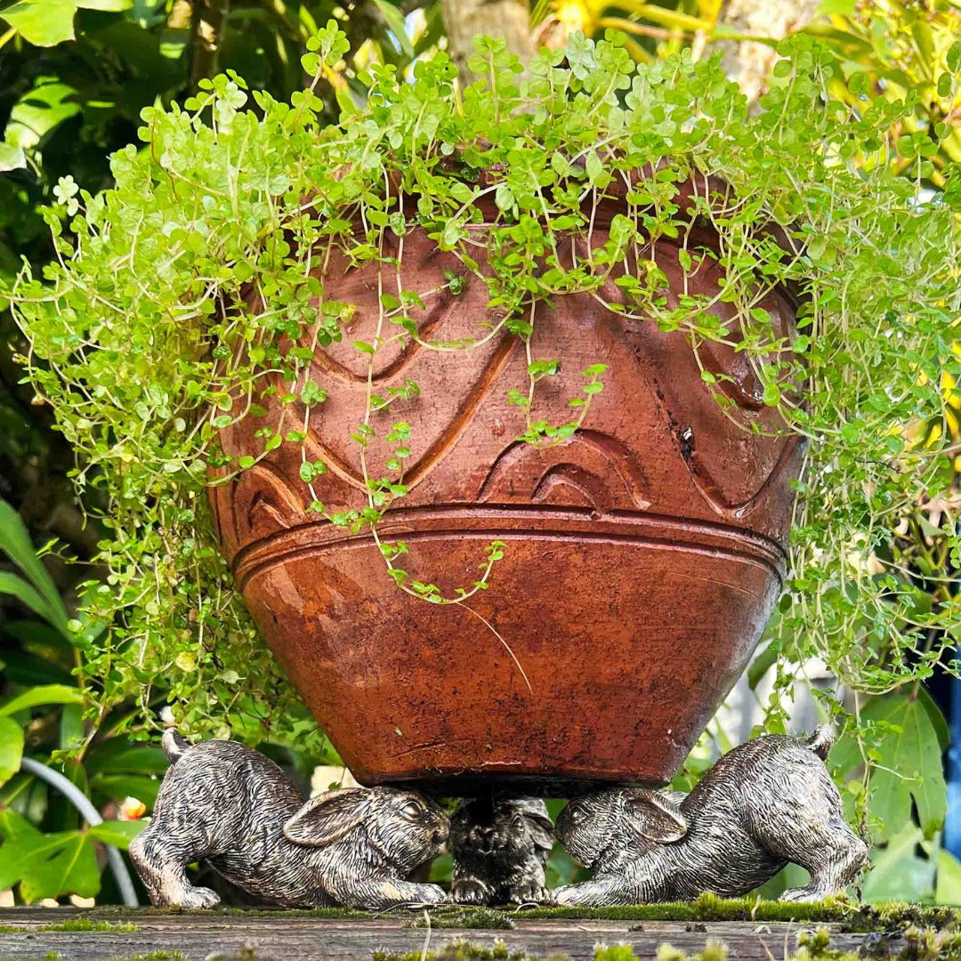 How to Style your greenery with Pot Holders & Hanging Rim ornaments