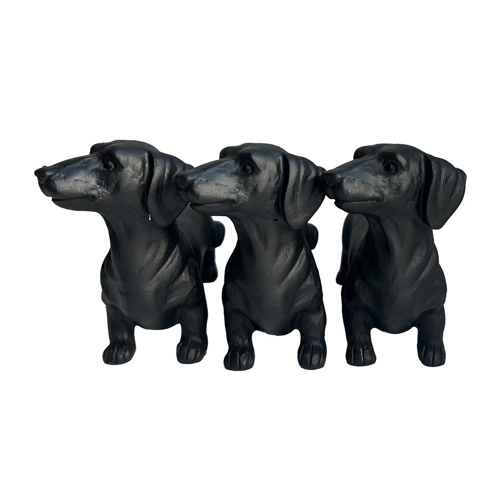 Three black dachshund dogs standing side by side on a white background