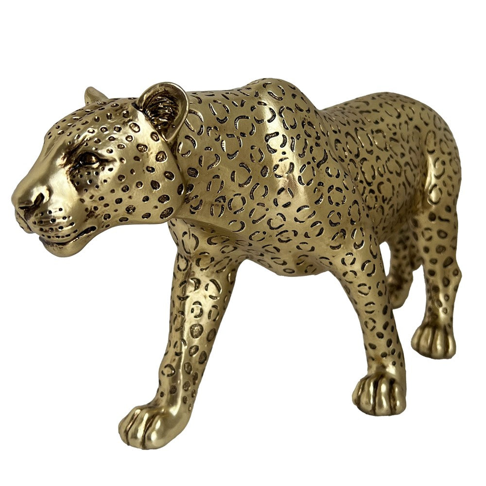 Gold leopard standing on a white background
