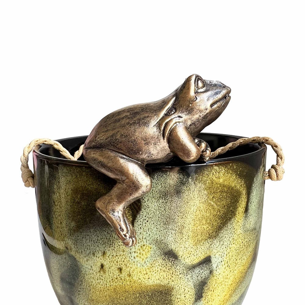 Gold frog hanging rim ceramic pot with a white background