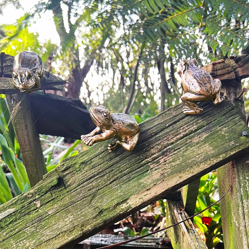 Gold frog hanging rims on a wooden structure with a natural background