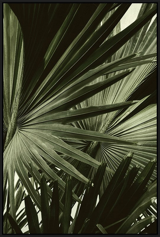 Green palm leaves with a dark frame