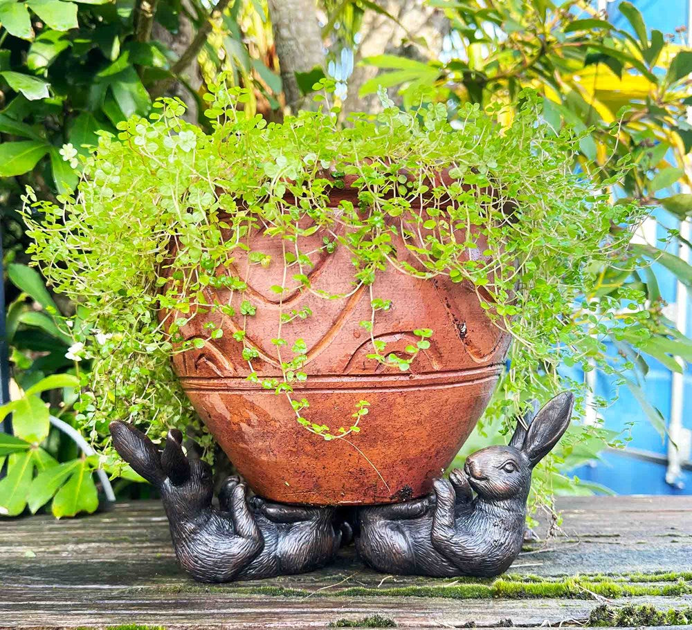 Hare pot holders holding a potted plant with greenery on a wooden surface.