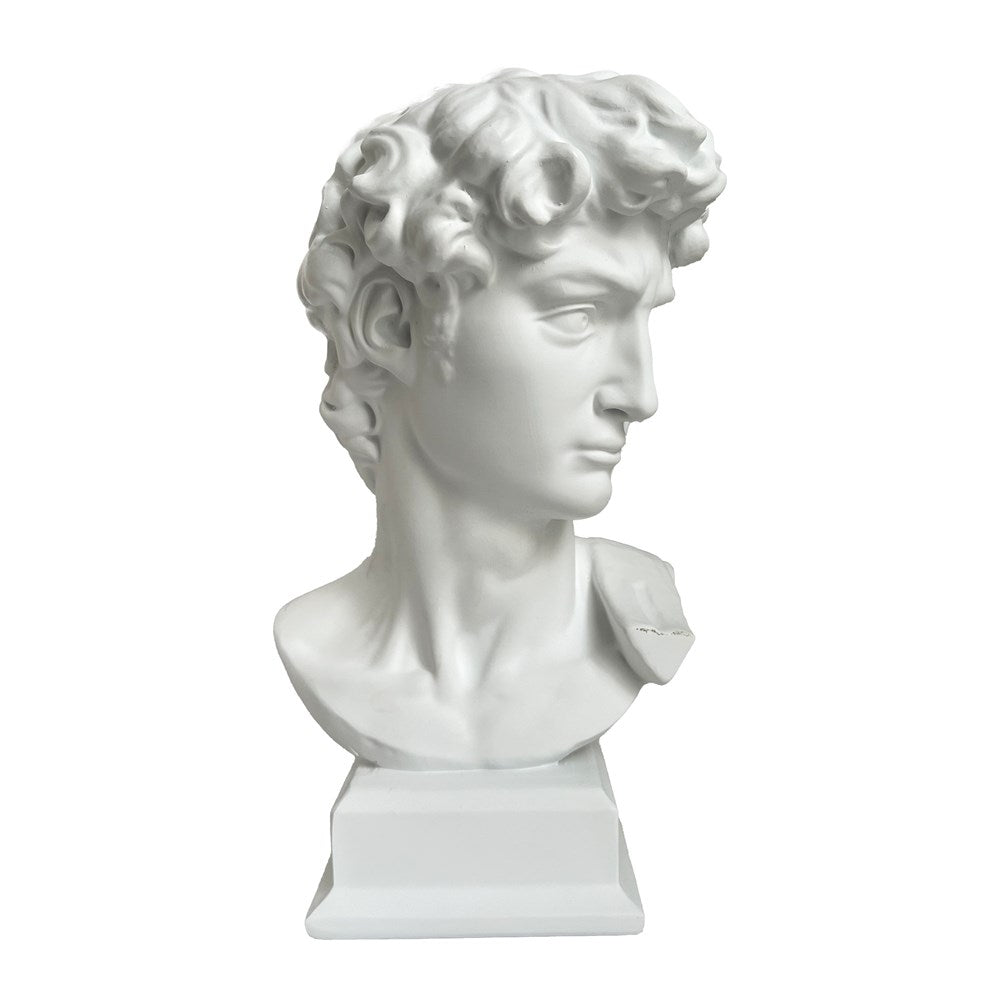 CLASSIC DECORATIVE DAVID BUST RESIN 17X15X29.8CM