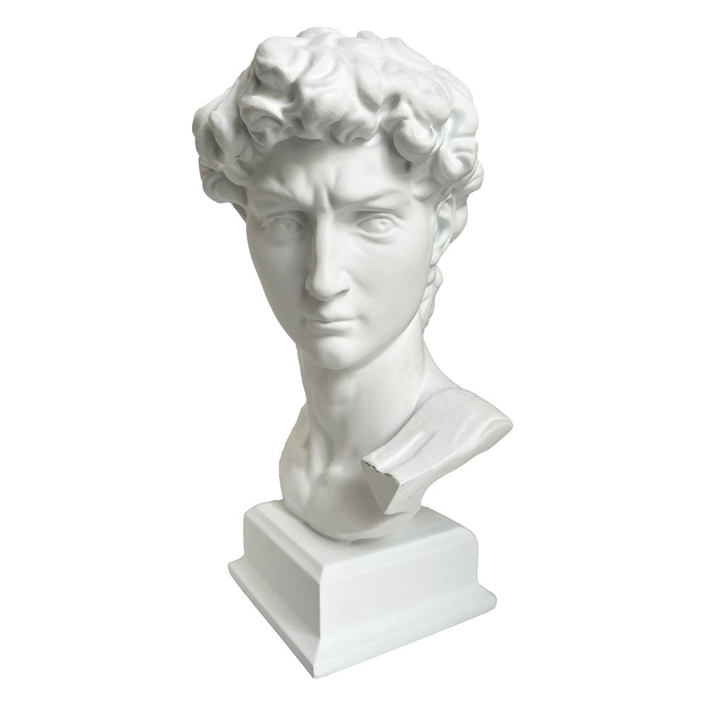 CLASSIC DECORATIVE DAVID BUST RESIN 17X15X29.8CM