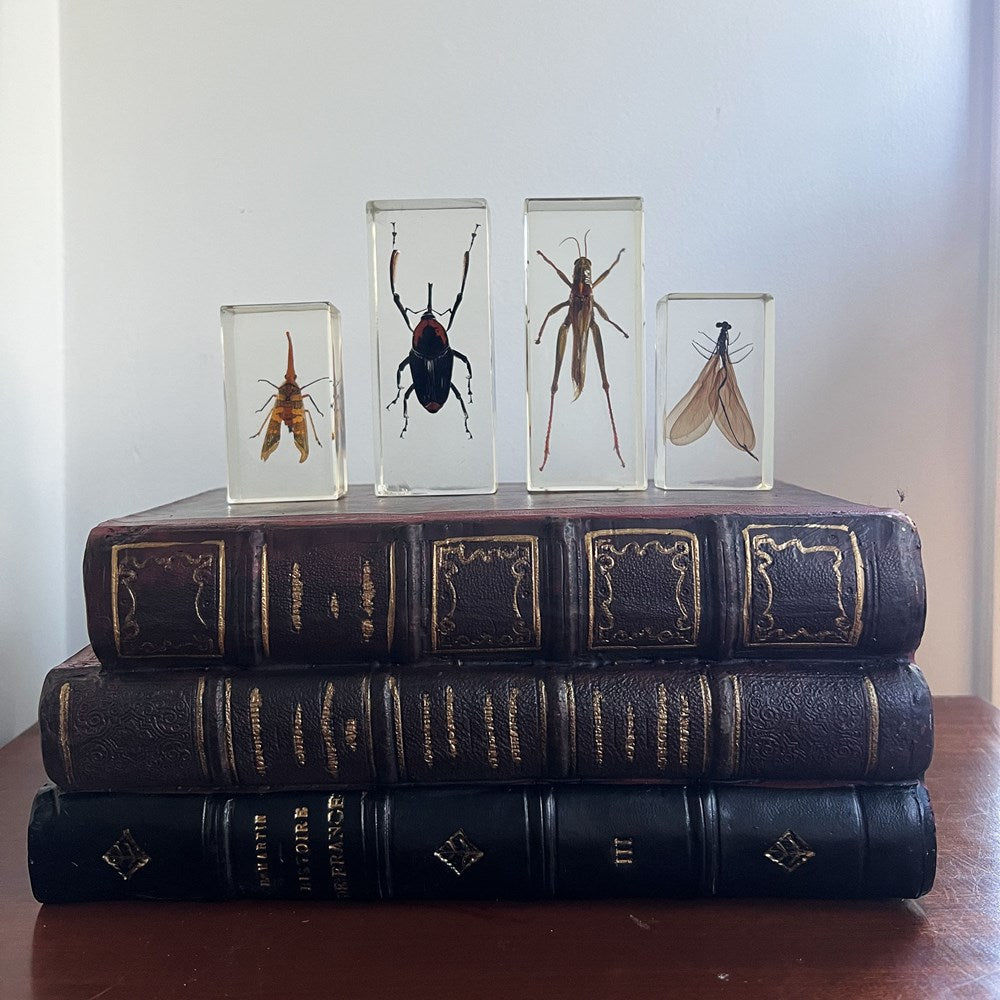 ANTIQUE STACKING BOOKS LGE - 1 PCE- ANTIQUE RED/BLACK 28X20X12CM