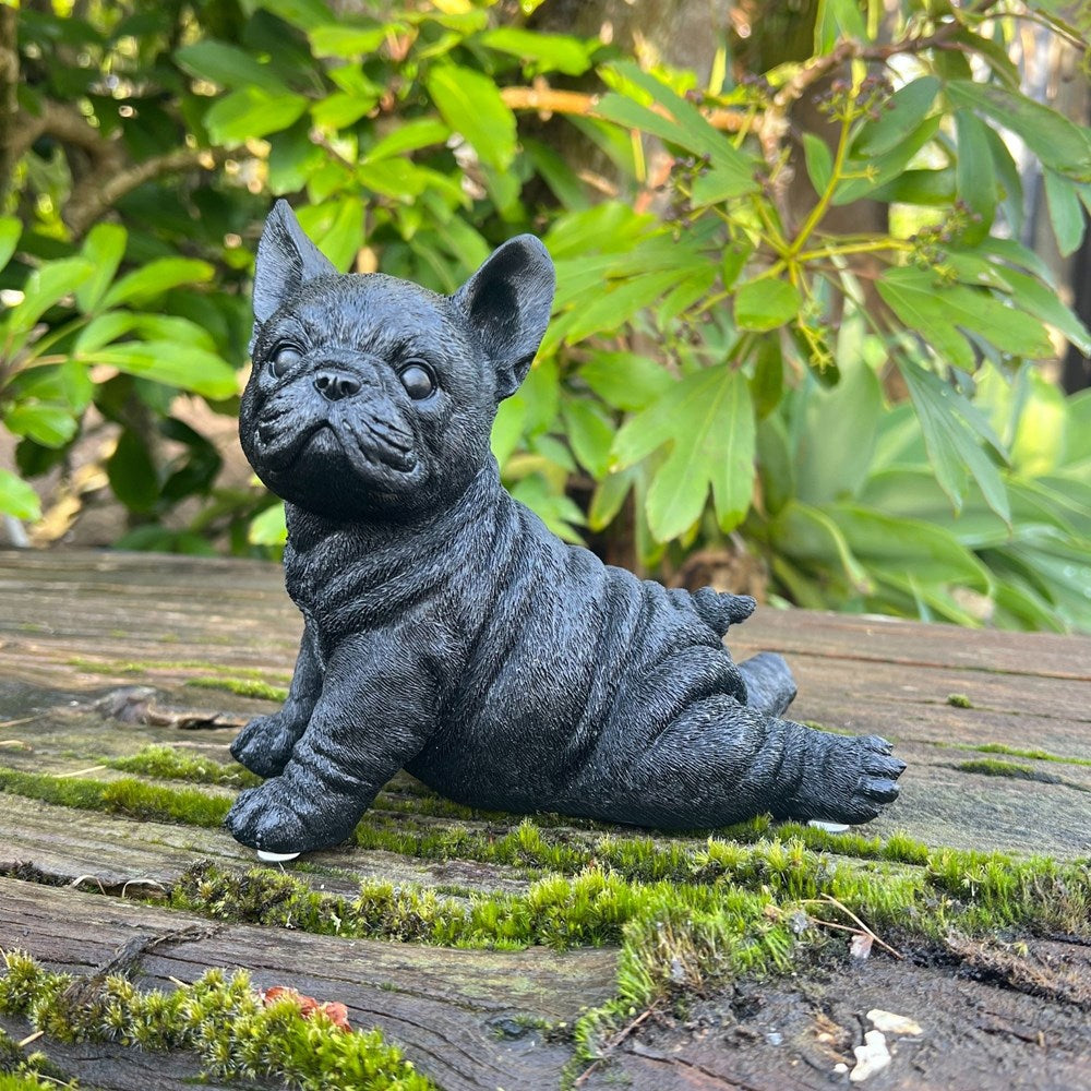 Black frenchie dog lying in a garden setting