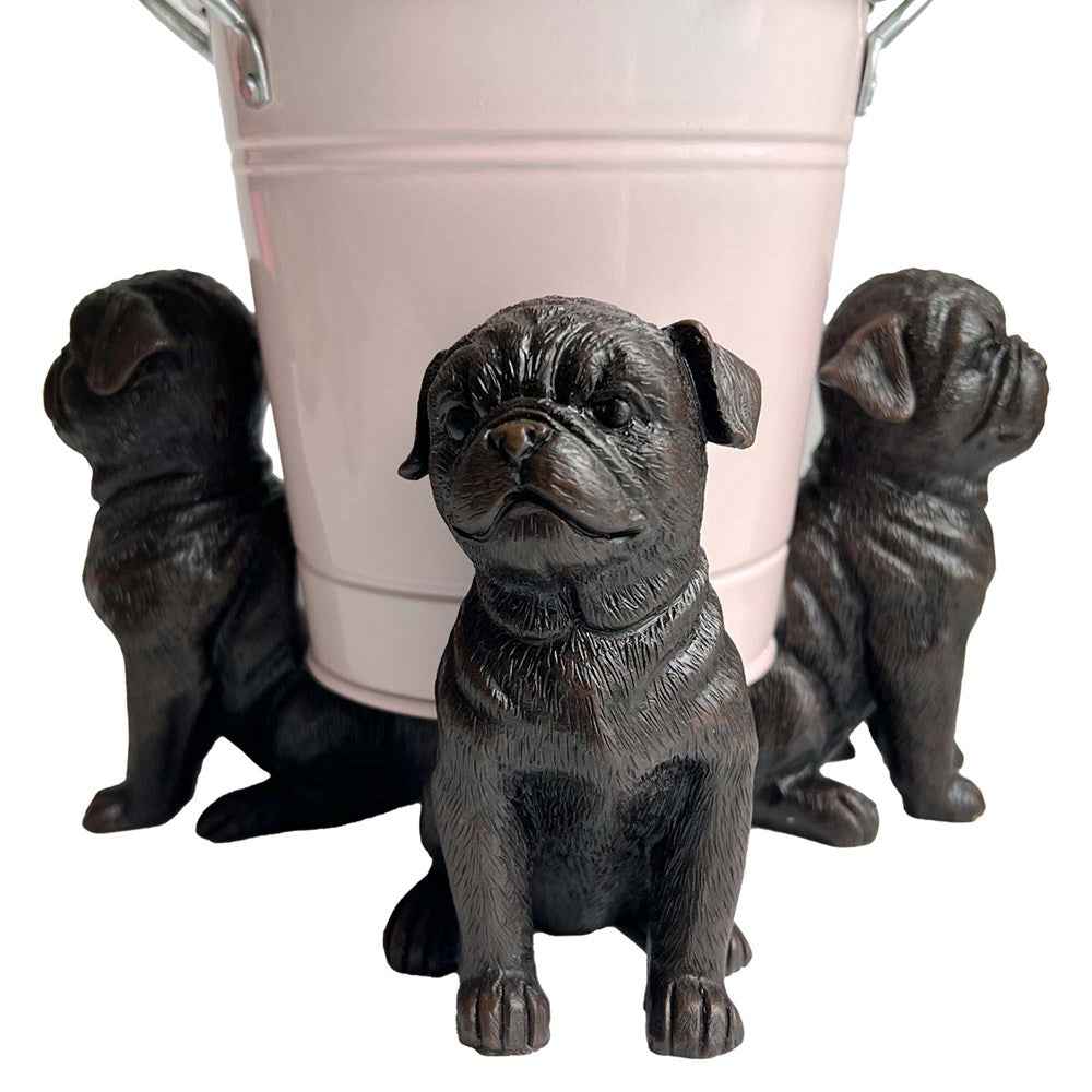 Three pug dogs holding up a planter pot
