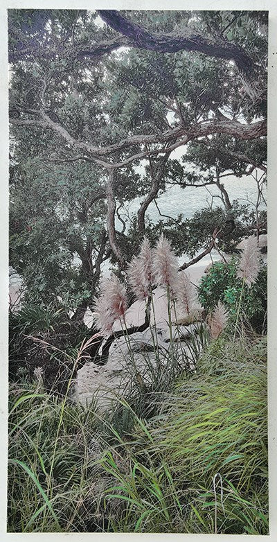 Scenic view of a tree with branches reaching out, surrounded by greenery and tall grasses.