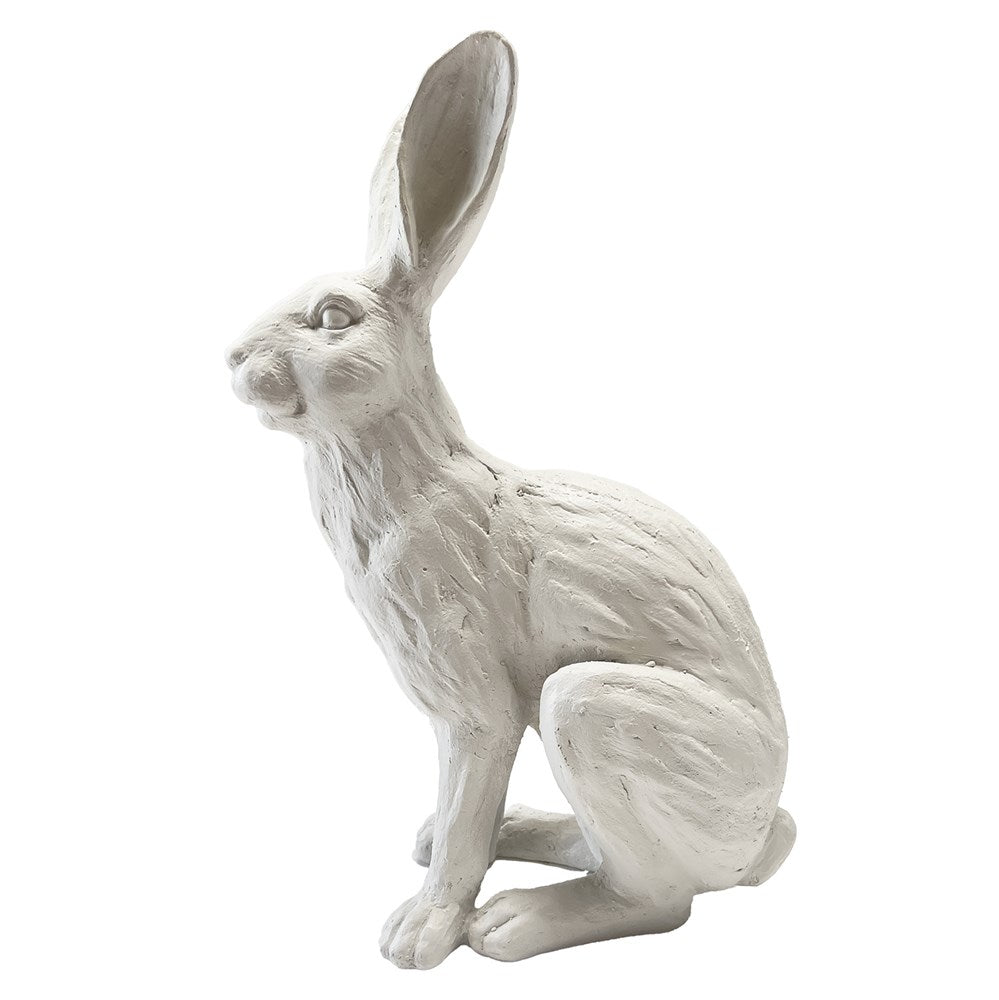 White rabbit on a white background