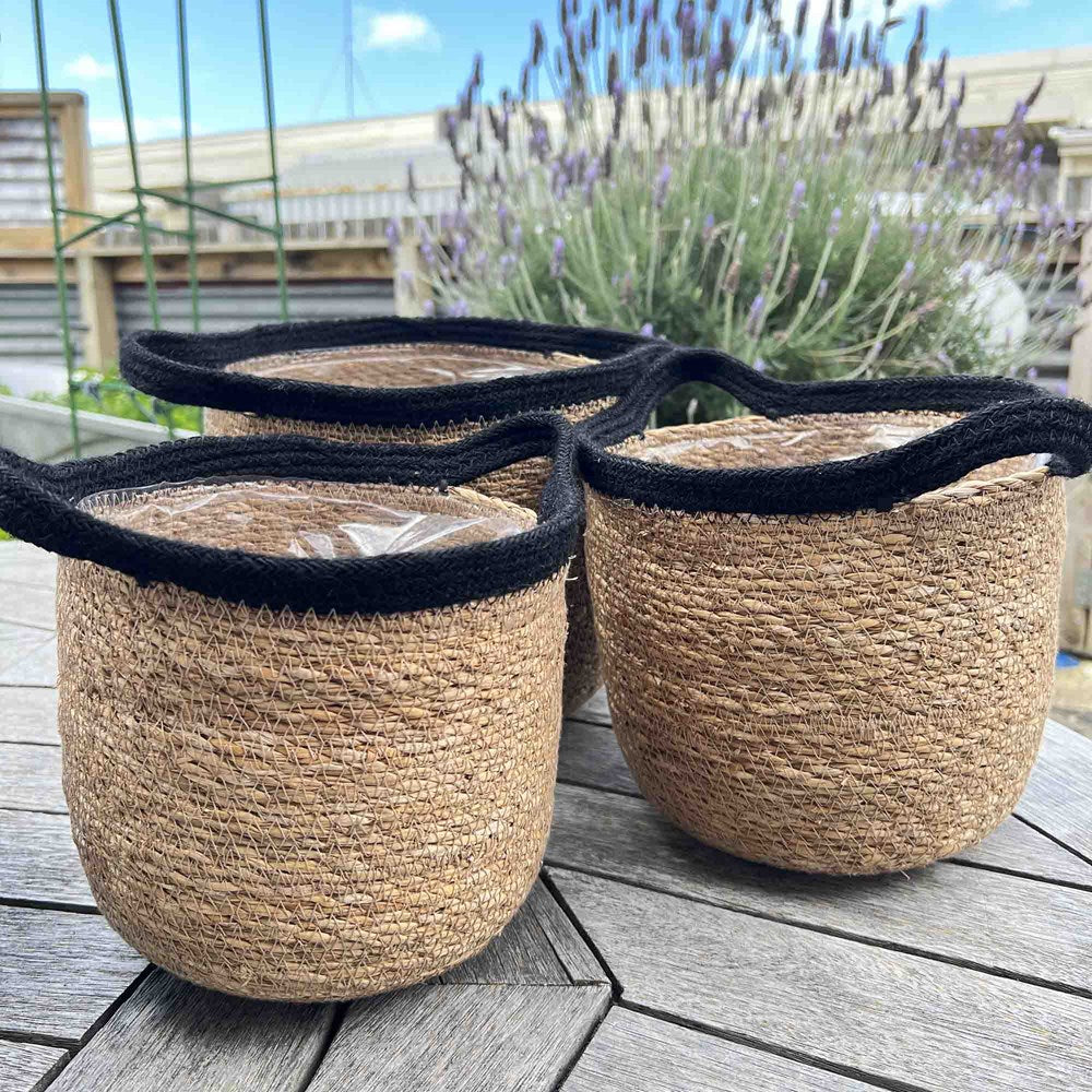 SEAGRASS PLANTERS SET OF 3